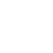 ICON-08