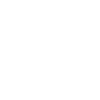 ICON-08
