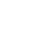 ICON-09